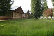 cabin meadow small